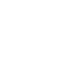 icon4-2