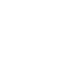 icon2-2