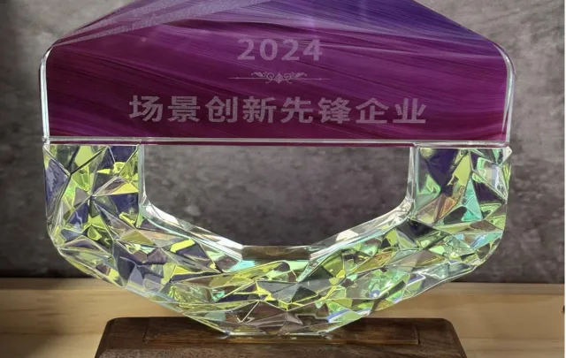索云科技受邀参加2024中国(合肥)场景创新生态大会并荣膺2024中国场景创新先锋企业奖