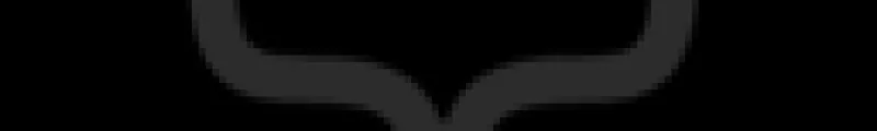 icon2-4