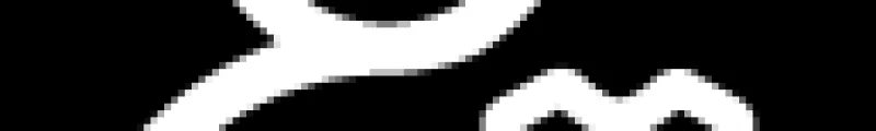icon4-2