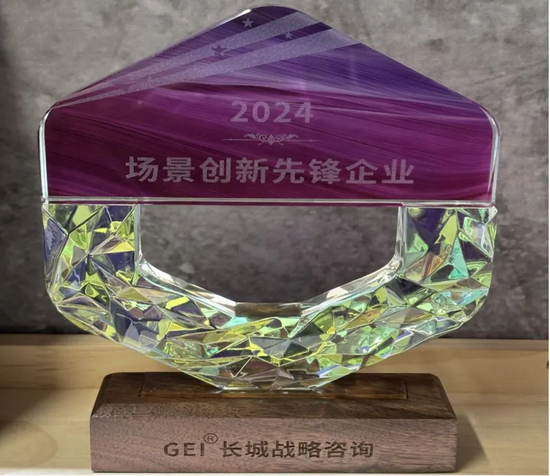 索云科技受邀参加2024中国(合肥)场景创新生态大会并荣膺2024中国场景创新先锋企业奖