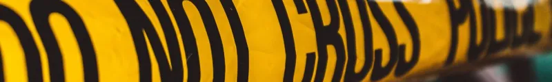 bg3